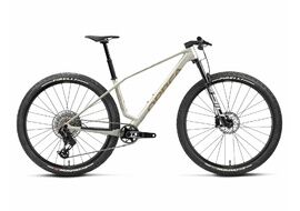 Orbea VTT Alma M-Team AXS Golden White / Titan Gold (Matt) 2027
